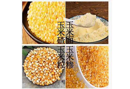 广州玉米系列
